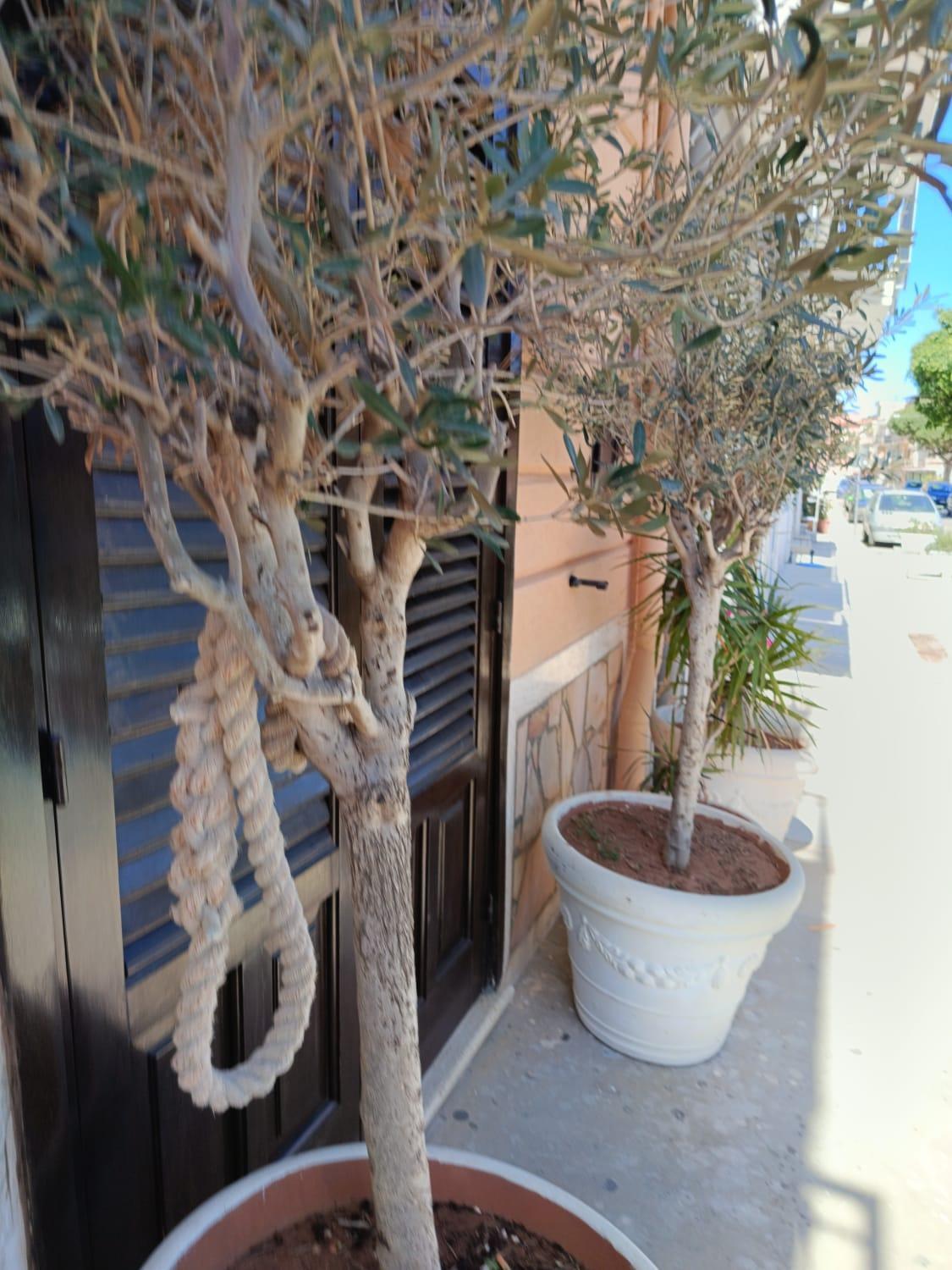 Da Cappellini Bed & Breakfast Isola delle Femmine Exterior foto